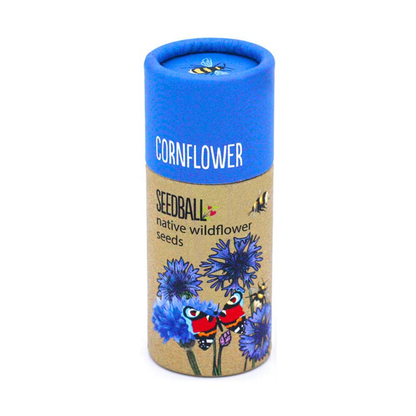 Wildflower Seed Tubes (Choose Your Flowers)