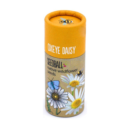 Wildflower Seed Tubes (Choose Your Flowers)