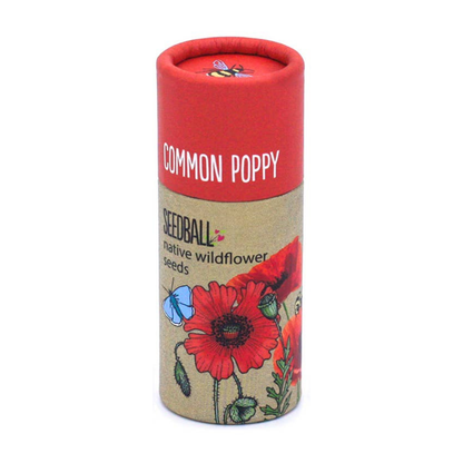 Wildflower Seed Tubes (Choose Your Flowers)