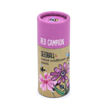 Wildflower Seed Tubes (Choose Your Flowers)