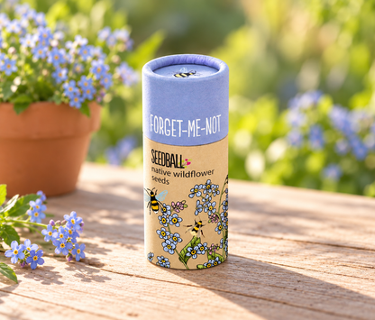 Wildflower Seedball Tube - Forget-Me-Not