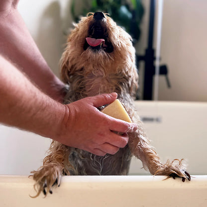 Dog Shampoo 100% Natural Vegan