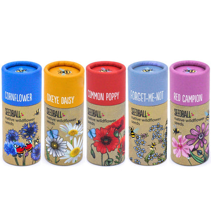 Wildflower Seed Tubes (Choose Your Flowers)
