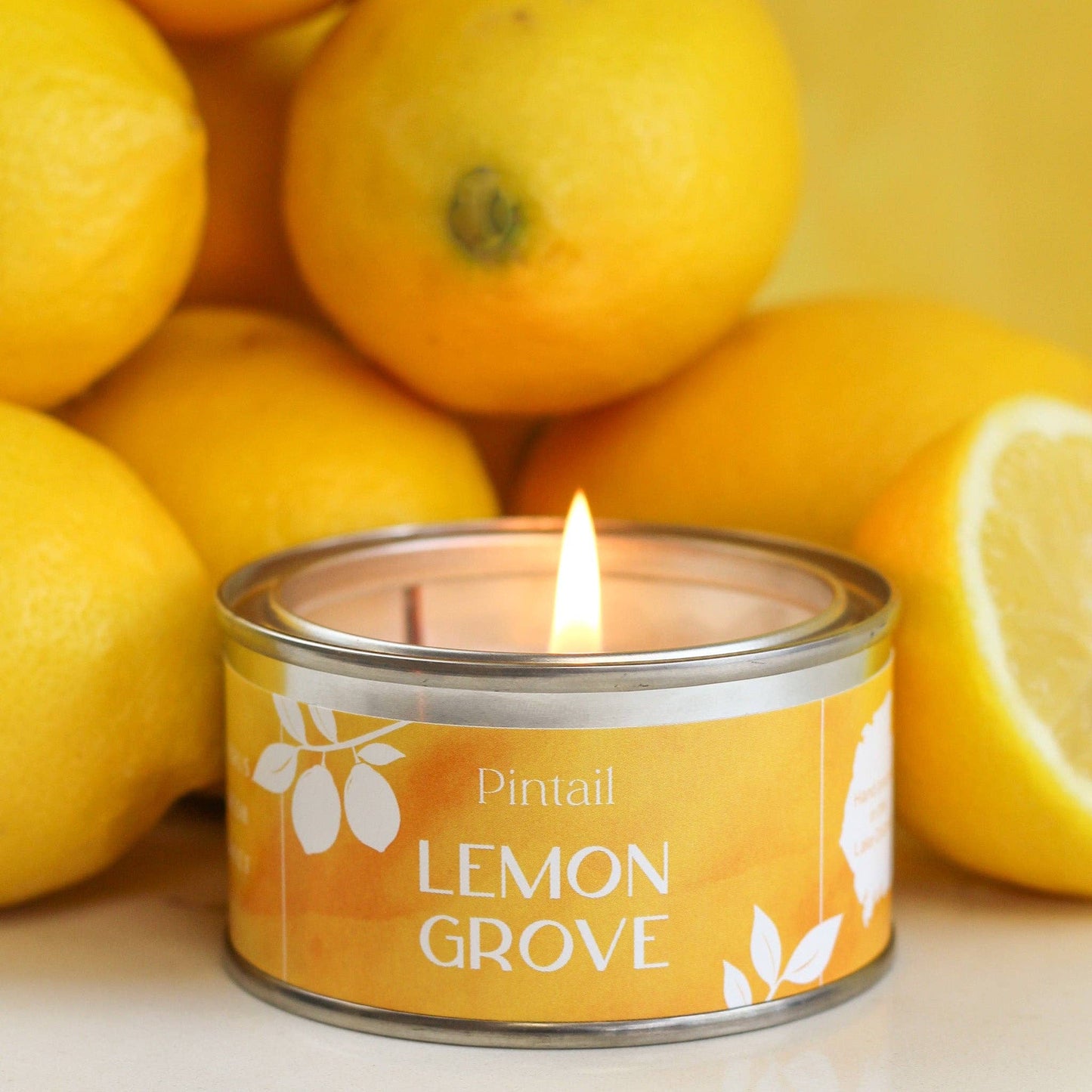 Lemon Grove Paint Pot