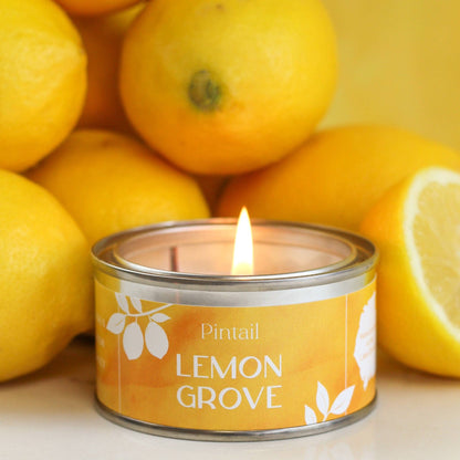Lemon Grove Paint Pot