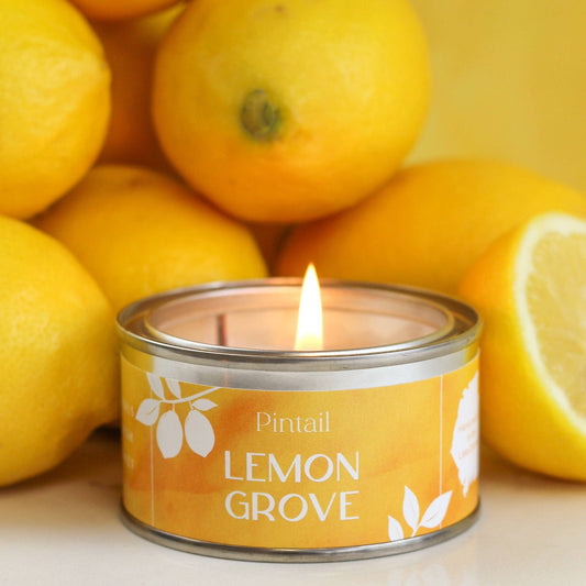 Lemon Grove Paint Pot