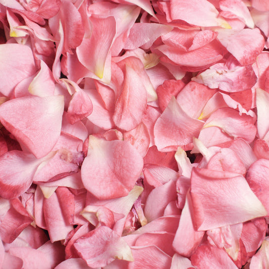 Rose Petals